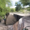 BWA NW OkavangoDelta 2016NOV30 SwampStop 002  ..... sneaking past our camp with blurry eyes ..... : 2016, 2016 - African Adventures, Africa, Botswana, Date, Month, Northwest, November, Places, Southern, Swamp Stop, Trips, Year
